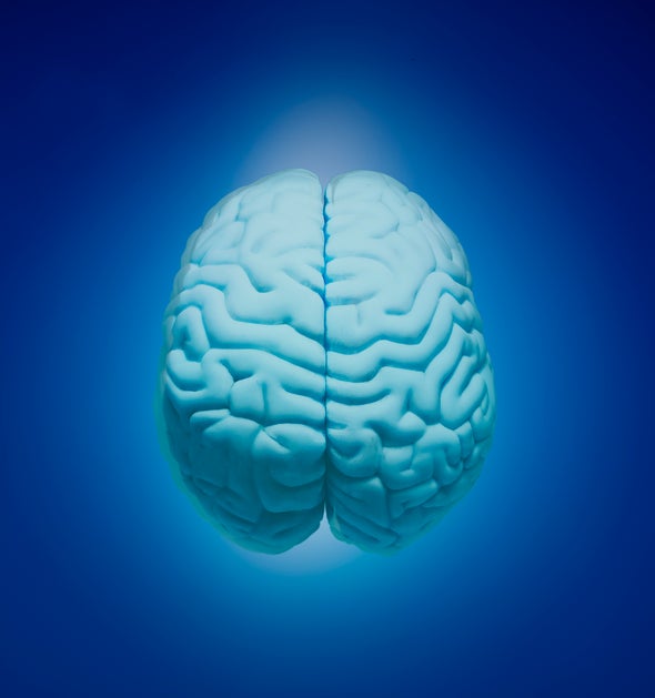 When Does Your Intelligence Peak?