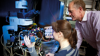 Gene Therapy Targets Epilepsy