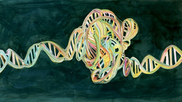 How Strange Twists in DNA Orchestrate Life
