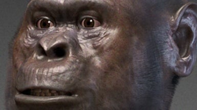 How Climate Change and Plate Tectonics Shaped Human Evolution - Scientific American