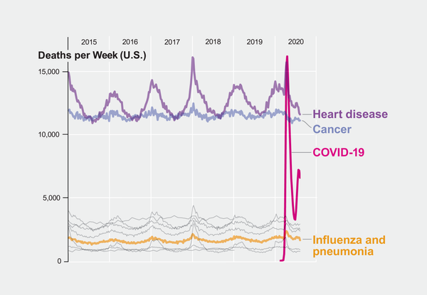 Chart shows deaths per week, broken down by cause of death. For two weeks in April, more Americans died from COVID-19 than any other single cause