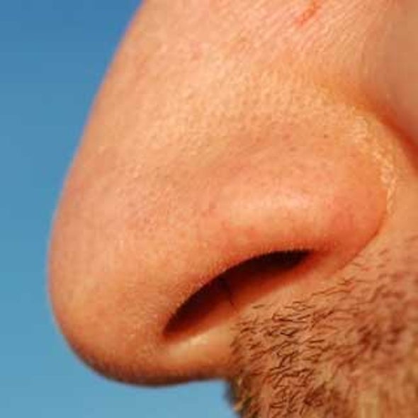 Dueling Nostrils: Will It Be the Scent of a Rose or a Marker Pen?