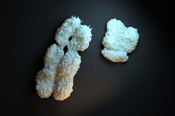 CRISPR Gene Editing in Human Embryos Wreaks Chromosome Mayhem