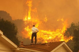 We Are Living in a Climate Emergency, and We're Going to Say So