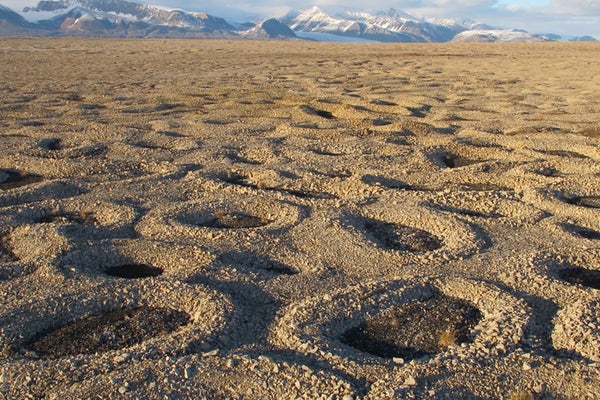 Circular pattens in stone on the ground.