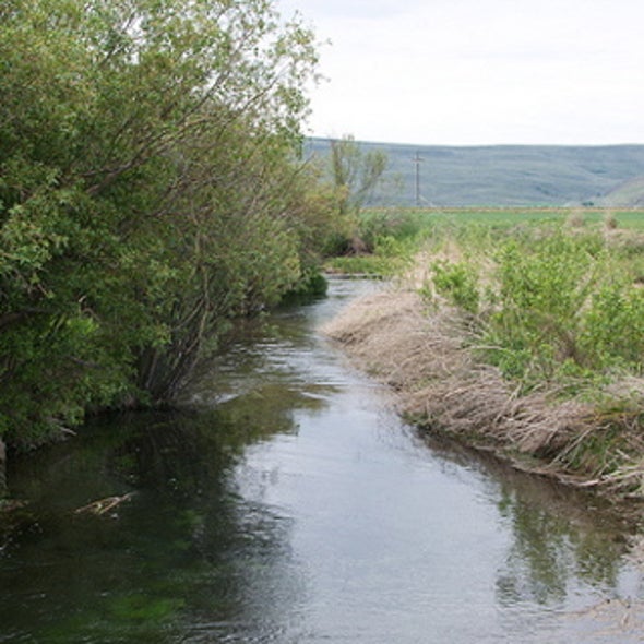Real Good or Feel-Good? Does Ecosystem Restoration Pay Off?
