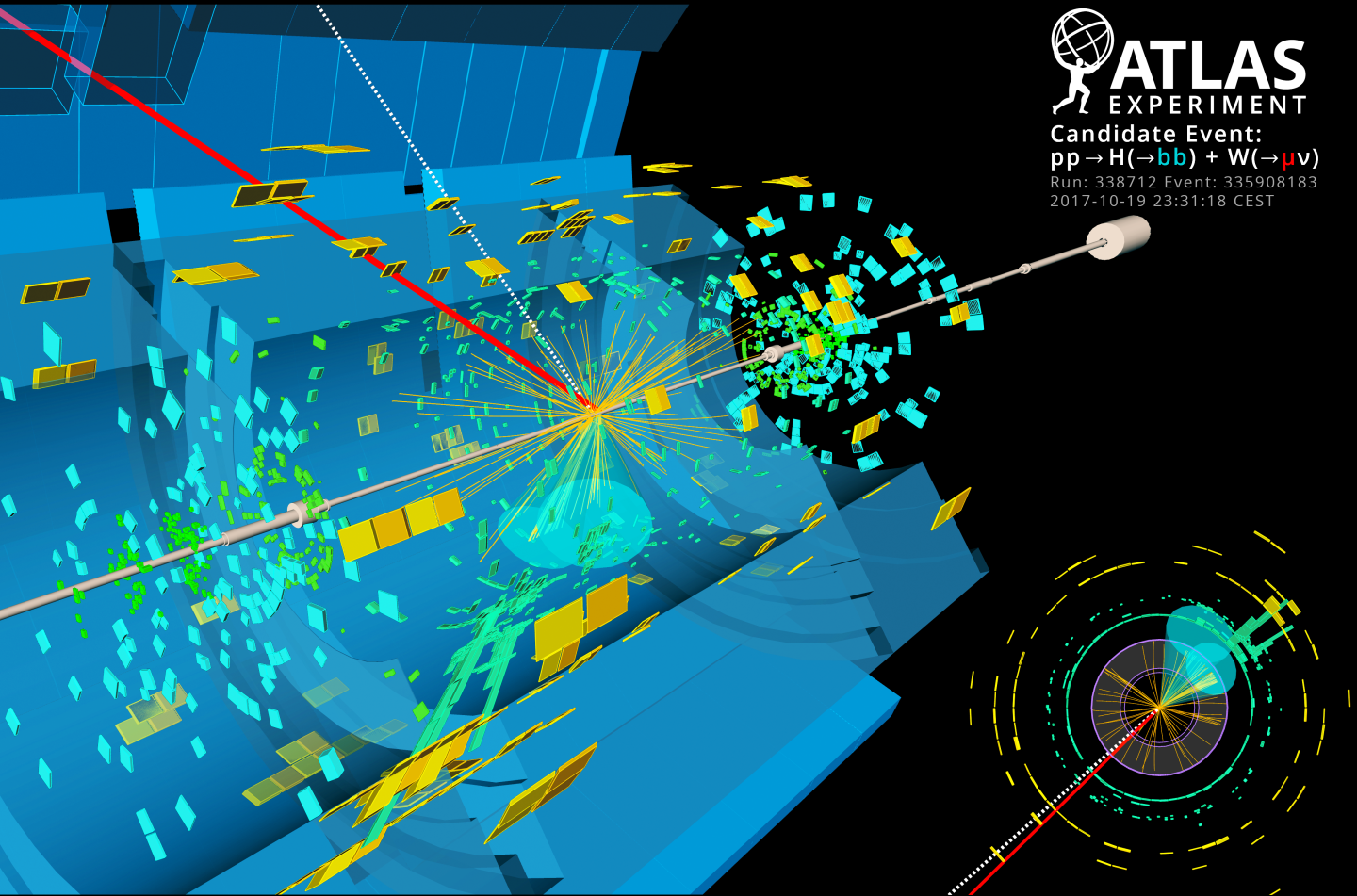 inside-cerns-large-hadron-collider-from-the-proton-to-higgs