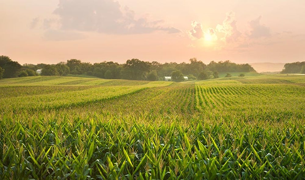 U.S. Bread Basket Shifts Thanks to Climate Change Scientific American