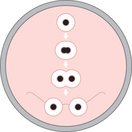 大众科学 Logo
