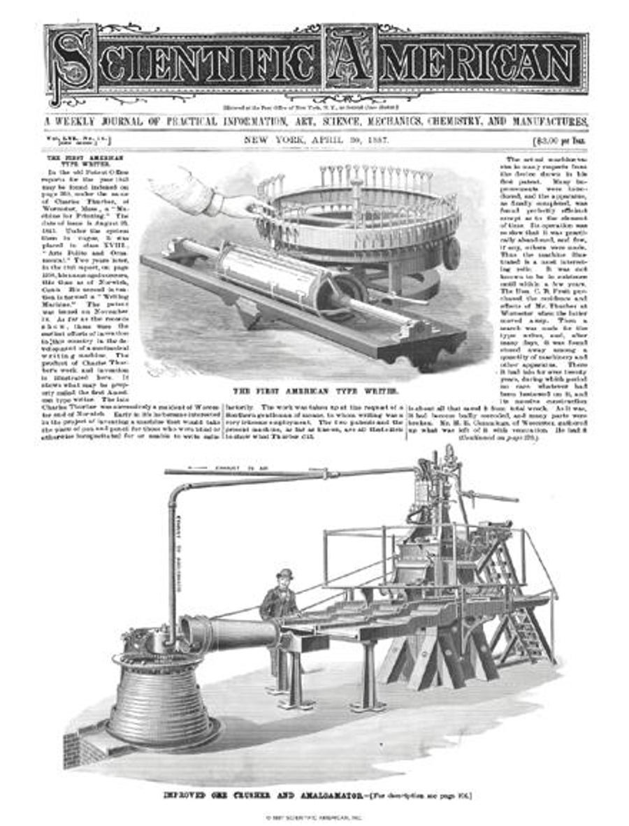 The Polar Bear And Seals Scientific American