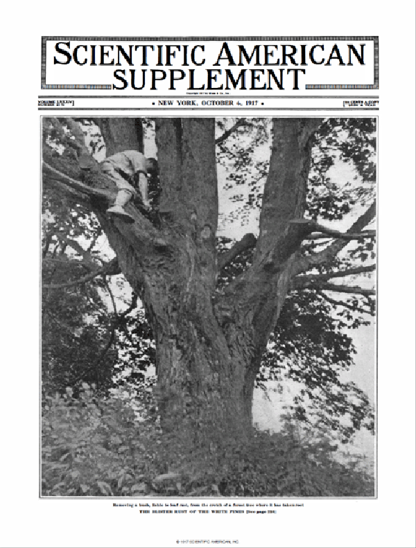 SA Supplements Vol 84 Issue 2179supp