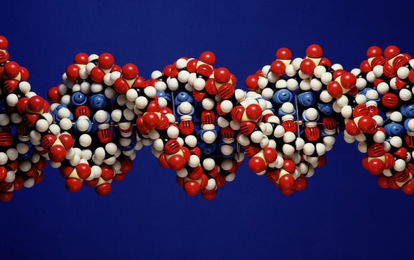 Ancient Human DNA Found in Cave Dirt