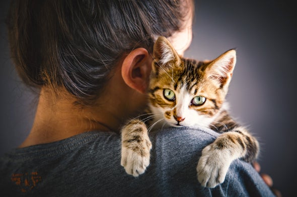 Famously Fickle Felines Are, in Fact, Clingy