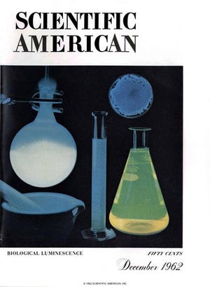 Scientific American Magazine Vol 207 Issue 6