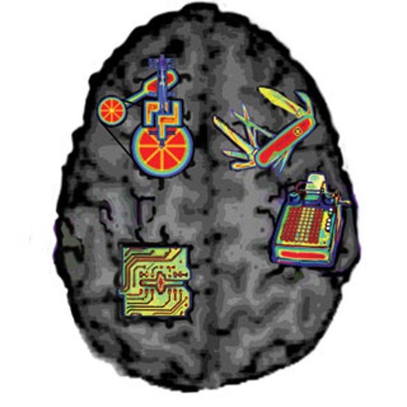 The Brain Is Not Modular: What fMRI Really Tells Us