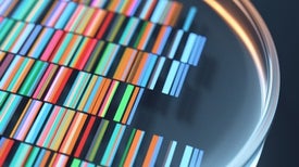Precision Medicine Comes of Age