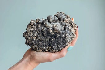 Polymetallic nodules from the deep ocean floor are rich in valuable minerals such as cobalt and nickel.