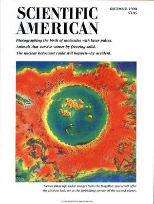 Scientific American Magazine Vol 263 Issue 6