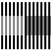White's effect