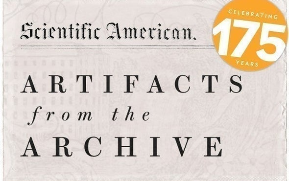 School Teaches Lions How to Star in Movies