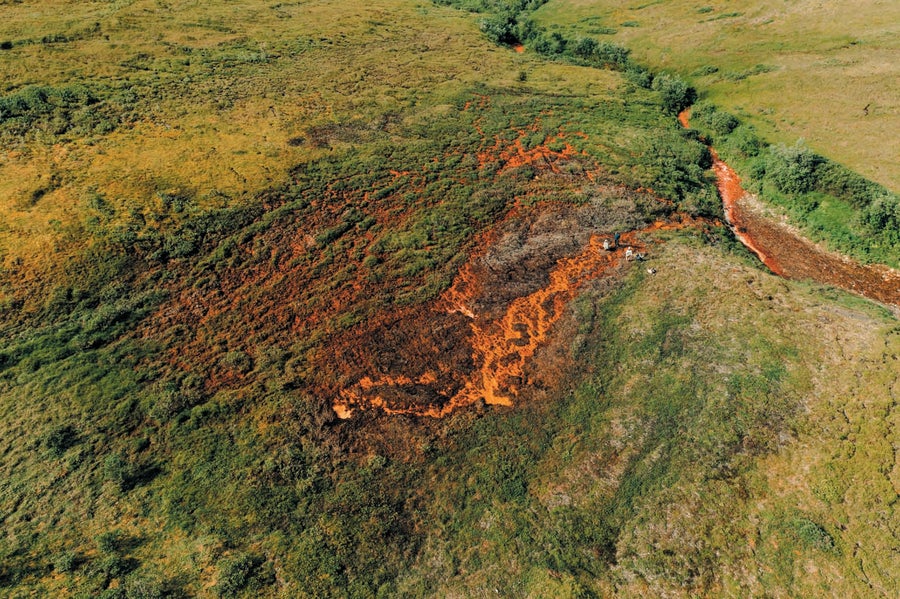 An areial view showing orange stained water seeping into lansdcape of green vegetation.