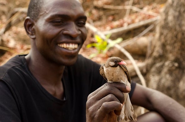 Humans and Birds Cooperate to Share Beehive Bounty