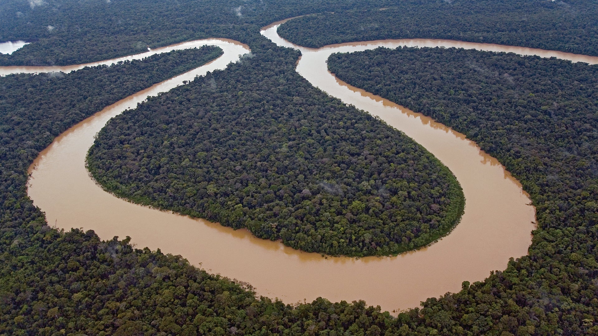 Amazon Rain Forest May Have Once Been a Giant Marine Lake | Scientific  American