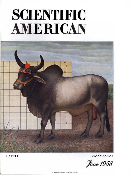 Scientific American Magazine Vol 198 Issue 6