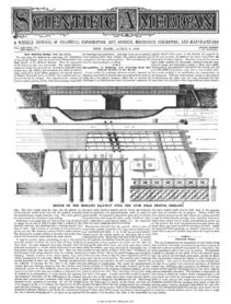Scientific American Volume 20, Issue 14