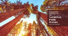 National Park Nature Walks: A New Pop-Up Podcast Series