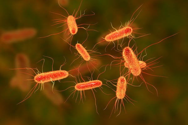 Orange E. coli bacteria floating.