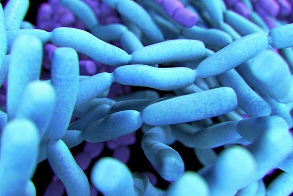 Mongrel Microbe Tests Story Of Complex Life Scientific American