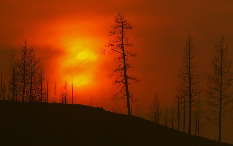 Report on California Climate Impacts 'Paints a Pretty Grim Picture' - Vimarsana News