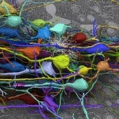 Tangle: