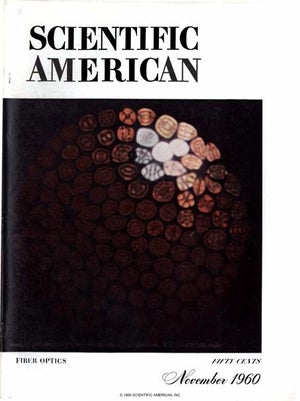 Scientific American Magazine Vol 203 Issue 5