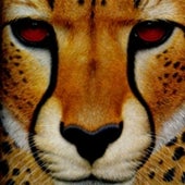 Can the Cheetah Survive? 1986