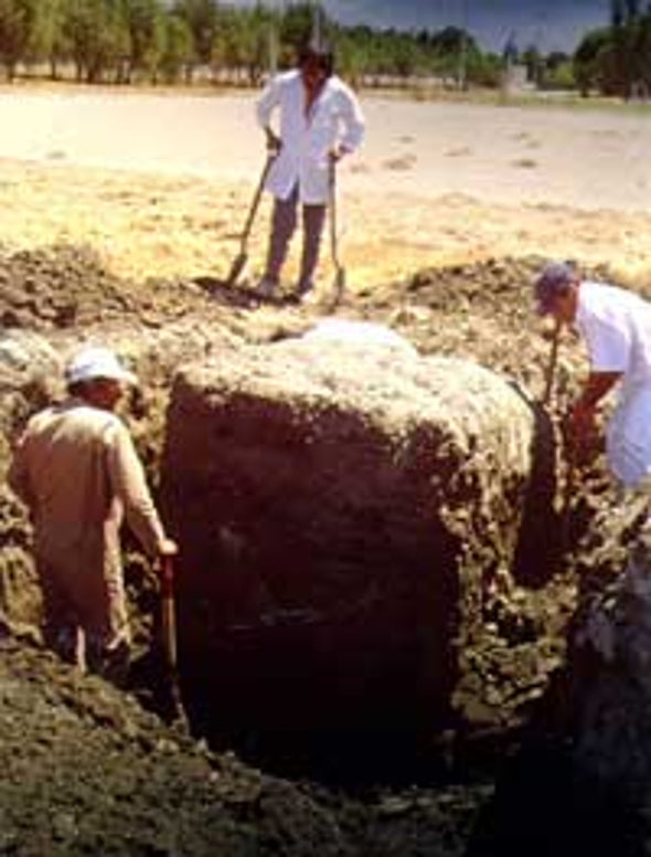 Radar Can Probe Soil's Structure