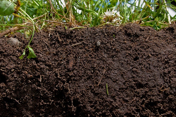 3 Big Myths About Modern Agriculture Scientific American - 