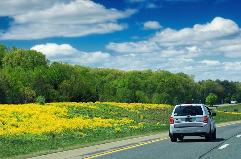 Why Can't We Plant Trees in Highway Medians? Scientific American