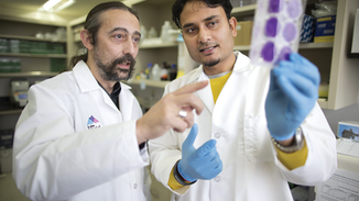 The Universal Flu Shot Moves Within Reach