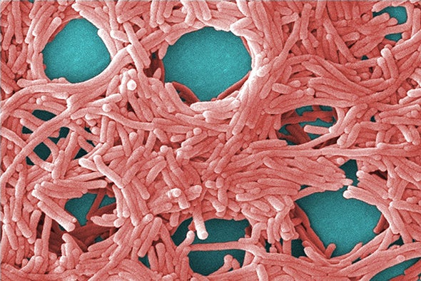5 Big Mysteries about CRISPR's Origins