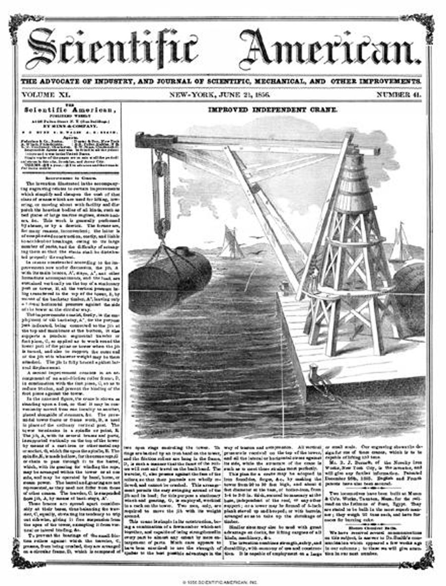 Curing Baldness | Scientific American