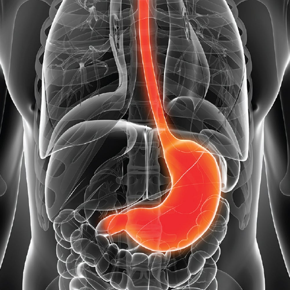 retatrutide liver effects How Retatrutide works: mechanism of action and onset explained retatrutide liver effects How Retatrutide works: mechanism of action and onset explained