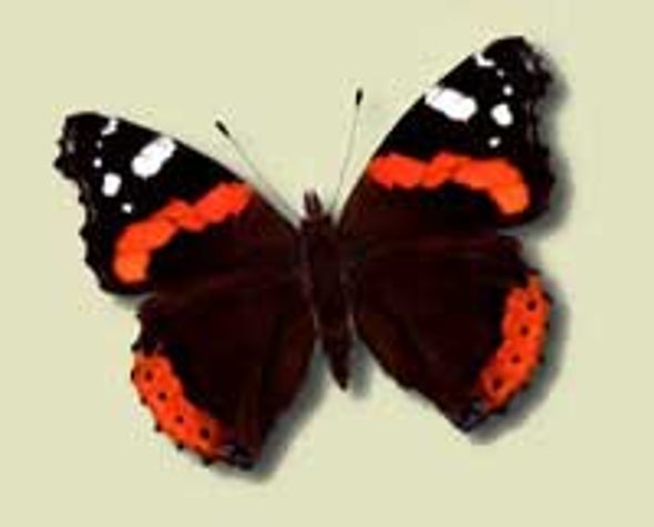 How to Float Like a Butterfly
