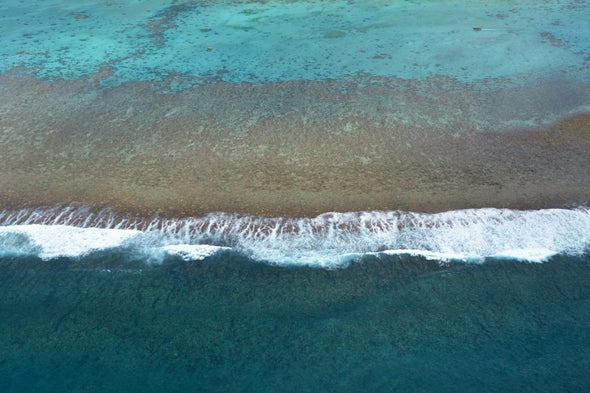 El Niño Is Now Stronger and Stranger, Coral Records Show
