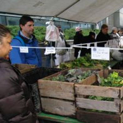 Thin Wallets, Thick Waistlines: New USDA Effort Targets Link between Obesity and Food Stamps