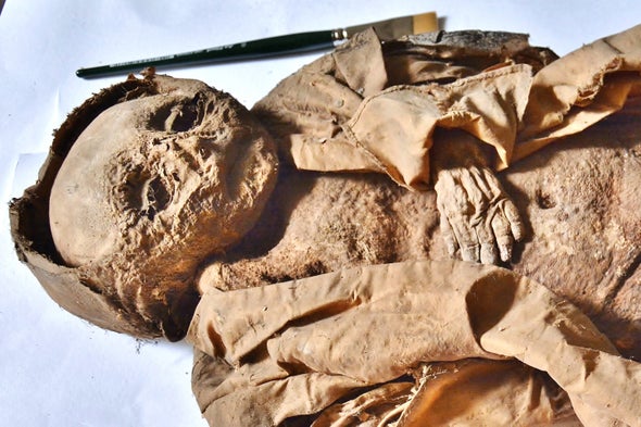 Rare Baby Mummy Identified as Austrian Noble