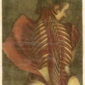 1742: <i>Suite de l'Essai d'anatomie en tableaux imprimes</i>, by Jacques Fabian Gautier d'Agoty