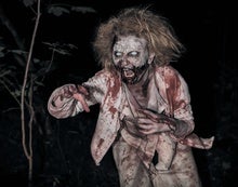 The Evolutionary Reasons We Are Drawn to Horror Movies and Haunted Houses