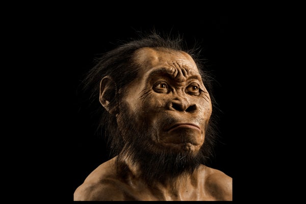 Homo naledi portrait